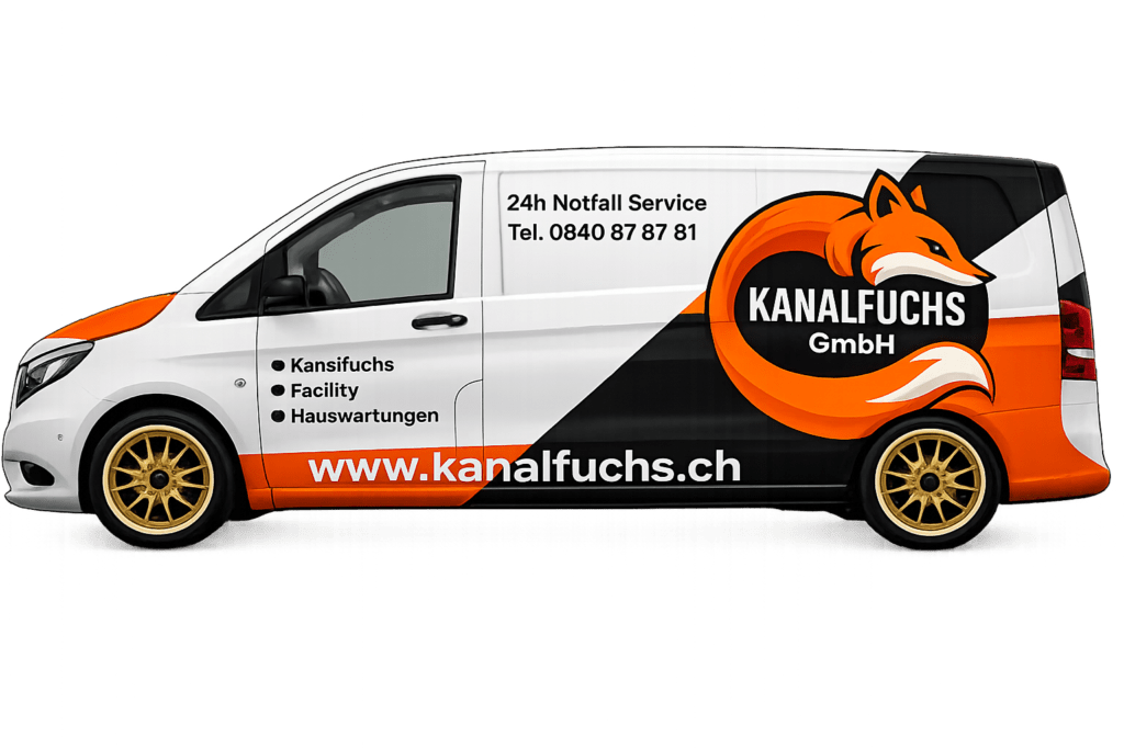 abfluss verstopft lösung